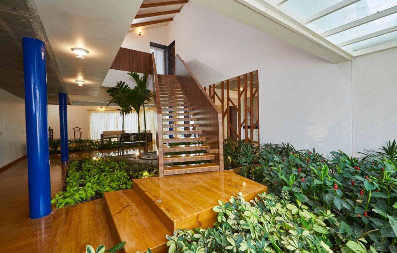Grape County Eco & Spa,