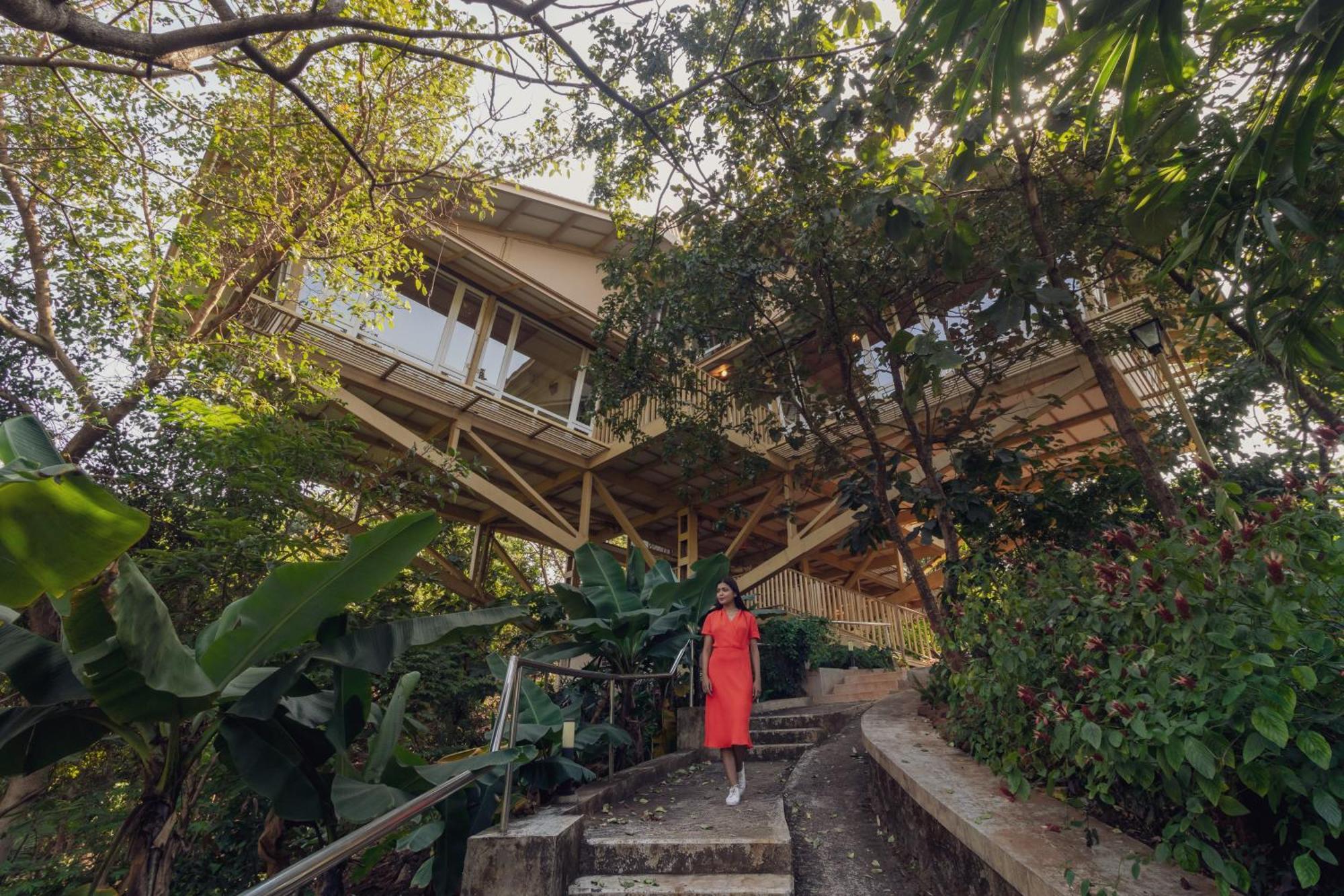 Grape County Eco & Spa, Nashik