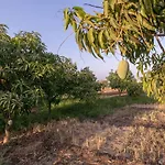 Casa Del Verde By Stayvista - Orchards Oasis With A Pool, Spacious Lawn, Terrace & Indoor Games