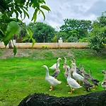 Freesia Resort By Express Inn