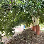Landmark Villa