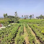 Soma Vineyard Resort -Nashik
