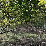 Raghunandan Resort Cottages