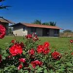 Utopia Farmstay