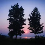 Lake View Holiday Villa Near Sula Wine Yard With 3 Bdrms