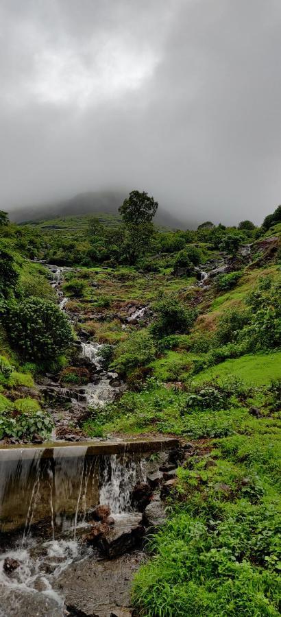 Golden And Farm 3* Nashik