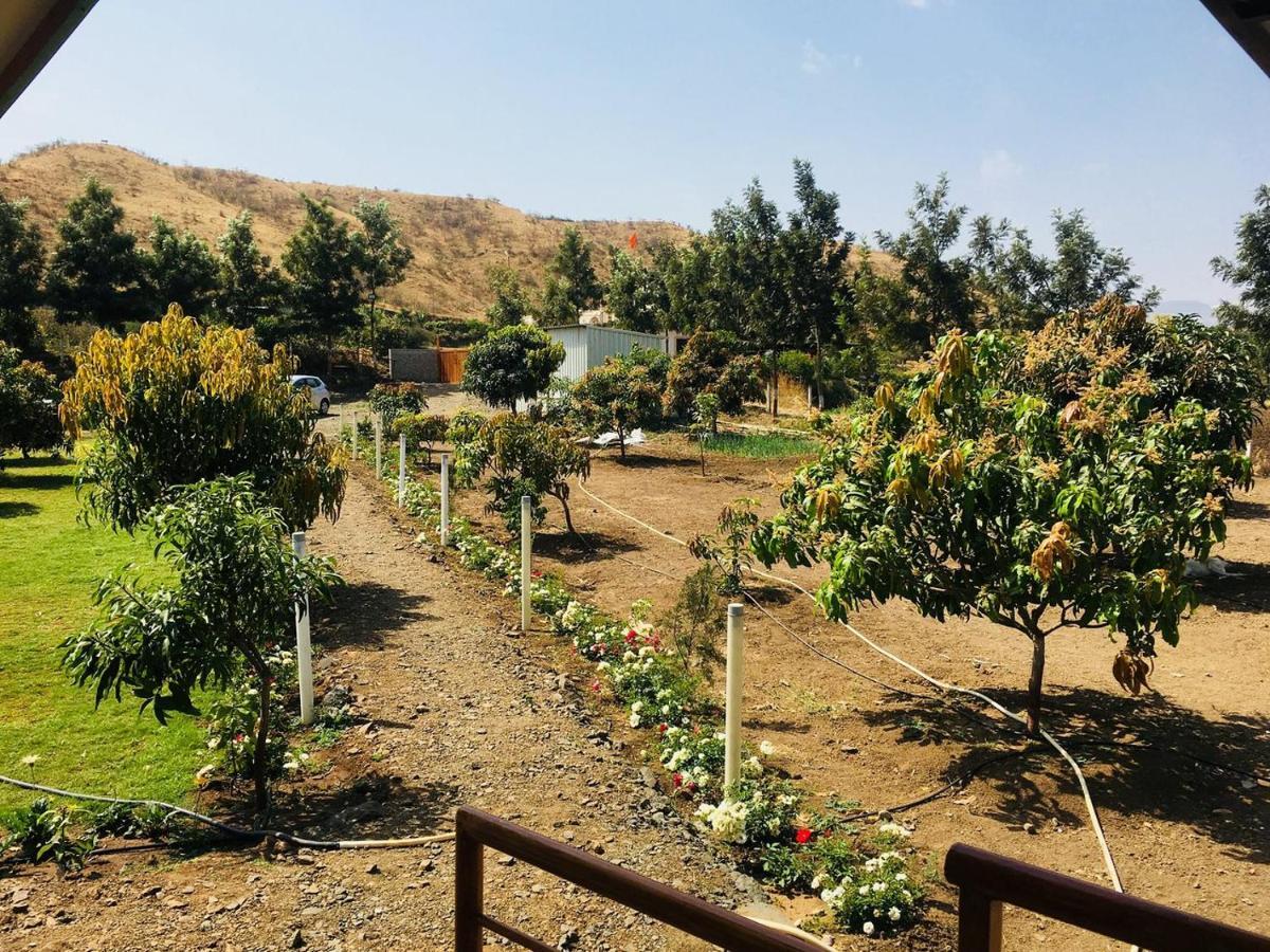 Hotel Basil Farm 2*
