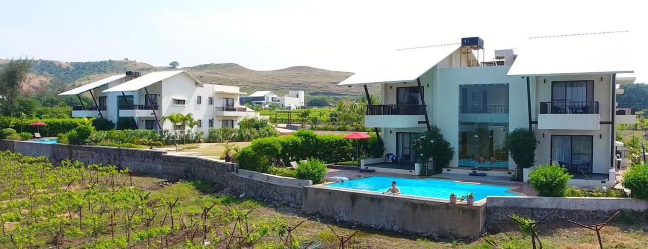 Soma Vineyard -nashik