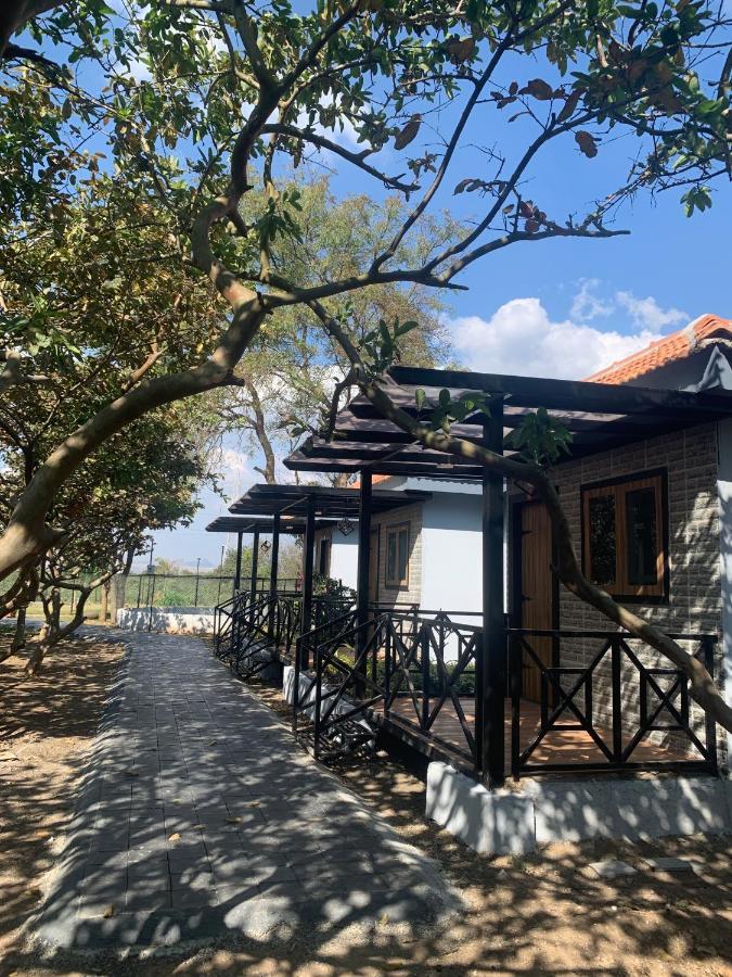 Raghunandan Farm stay