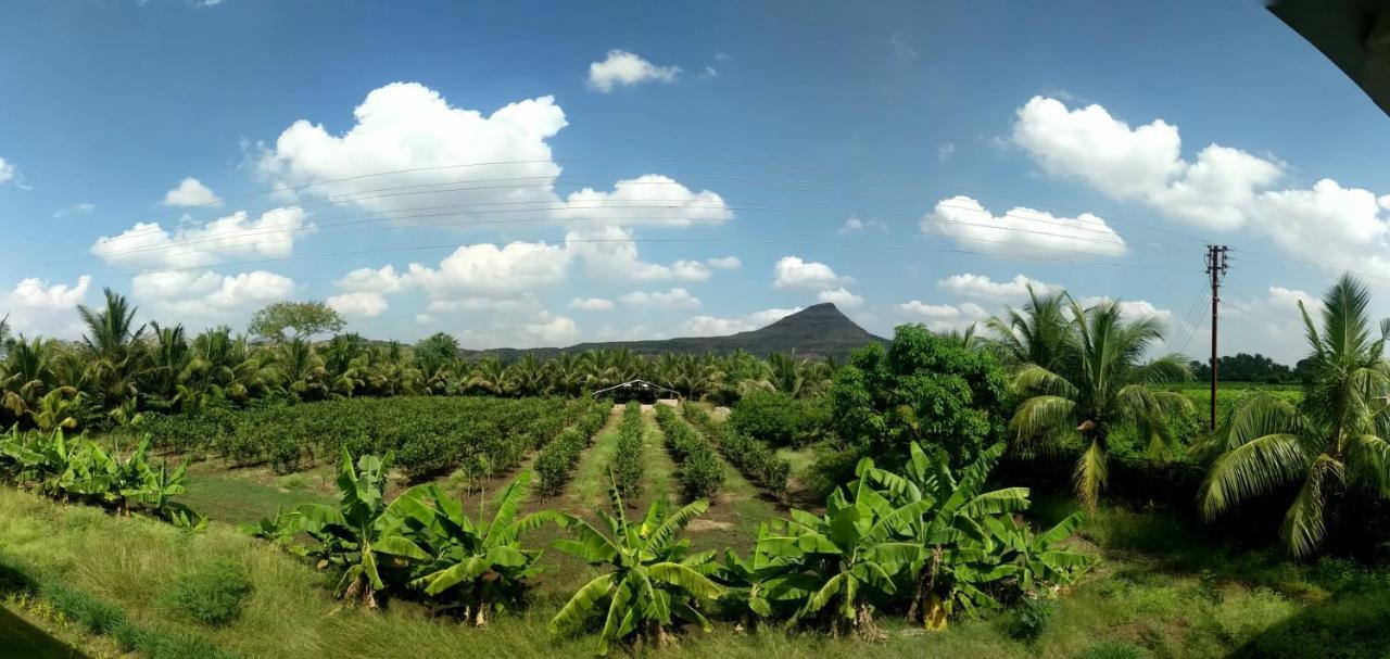 The Estate