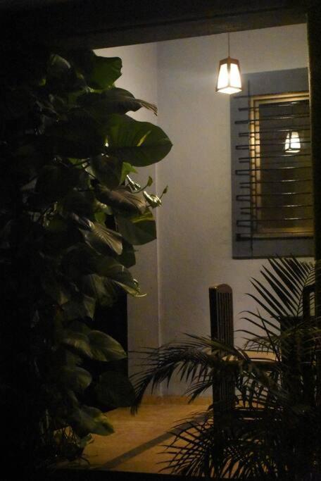 Amrapali At Raghunandan * Nashik