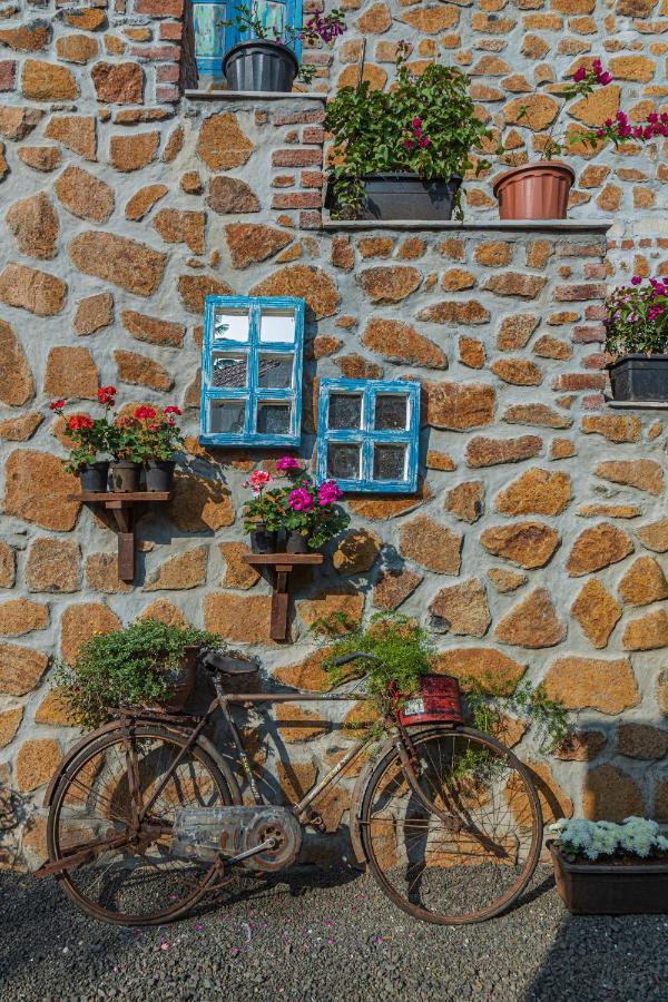 Villa Saffronstays House Bouganvillea: Rustic Lakeside With Pool