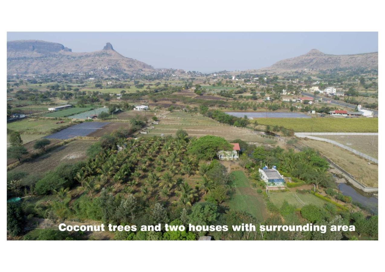 Living & Near Trimbakeshwar Temple *