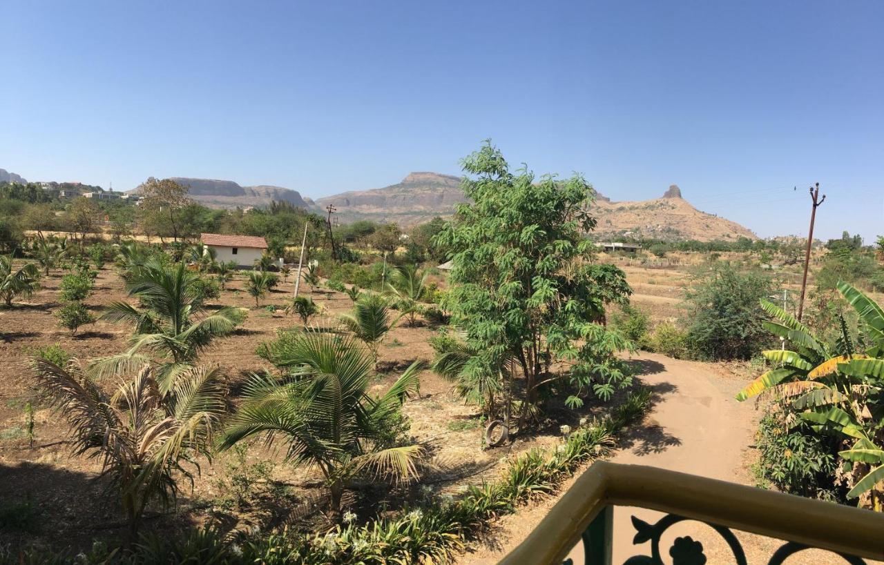 Living & Near Trimbakeshwar Temple