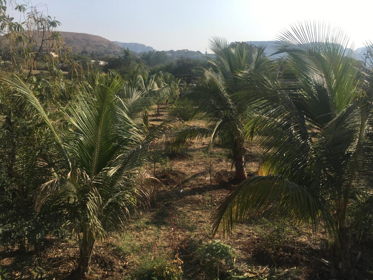 Living & Near Trimbakeshwar Temple Nashik