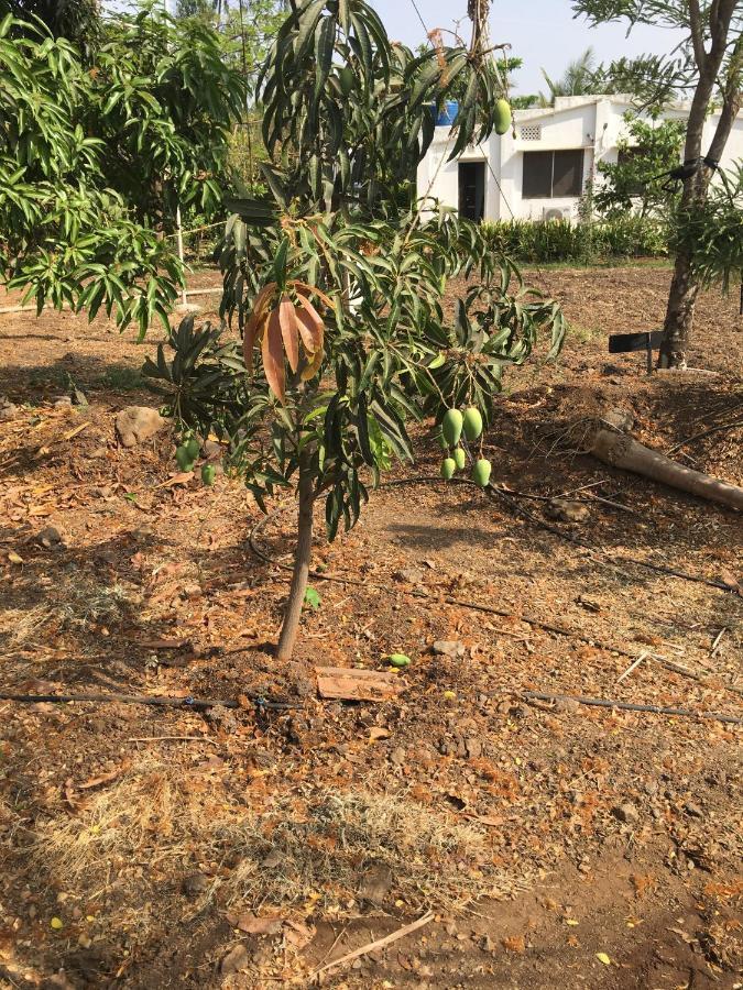 Living & Near Trimbakeshwar Temple Villa