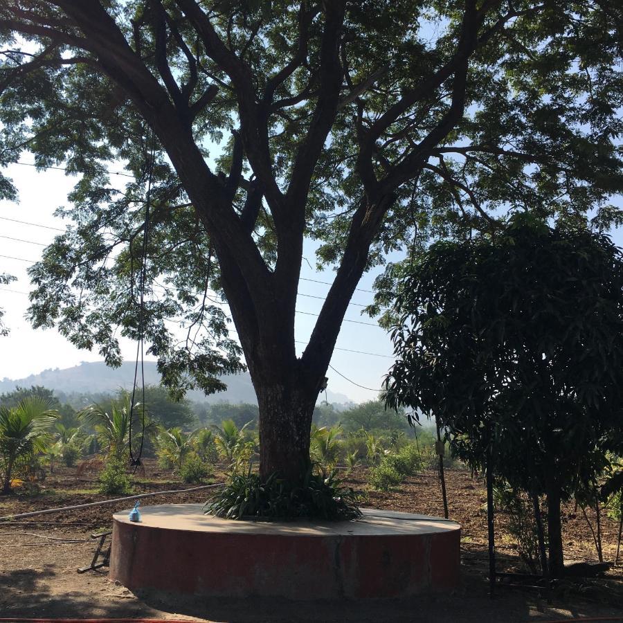 Living & Near Trimbakeshwar Temple Nashik