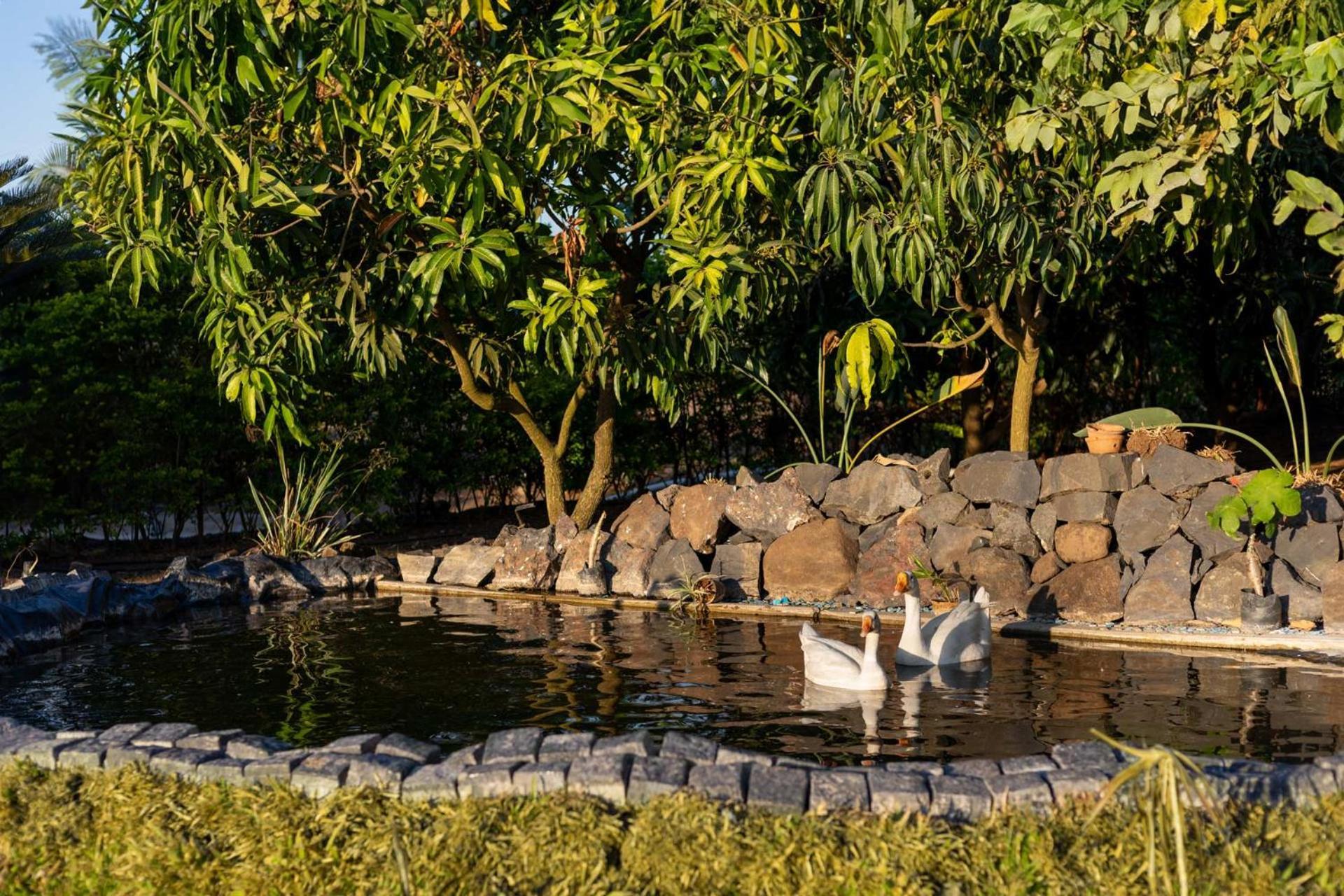 Villa Stayvista's Watermark - Hillside Lakeview Retreat With Infinity Pool, Garden & Terrace - Near Nashik's Vineyard Haven