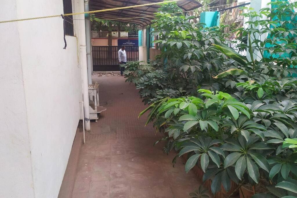 Bonglow For Minimum 6 Adults Holiday home Nashik