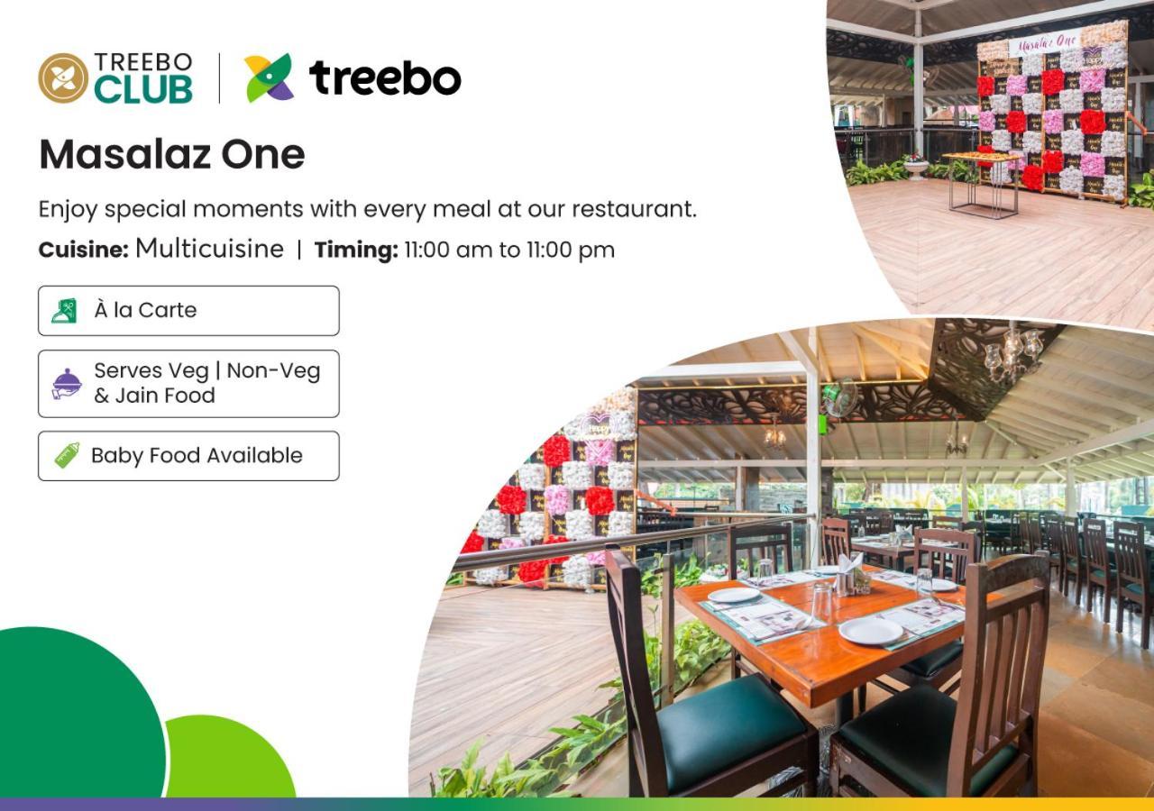 Treebo Sai Rekha Nashik