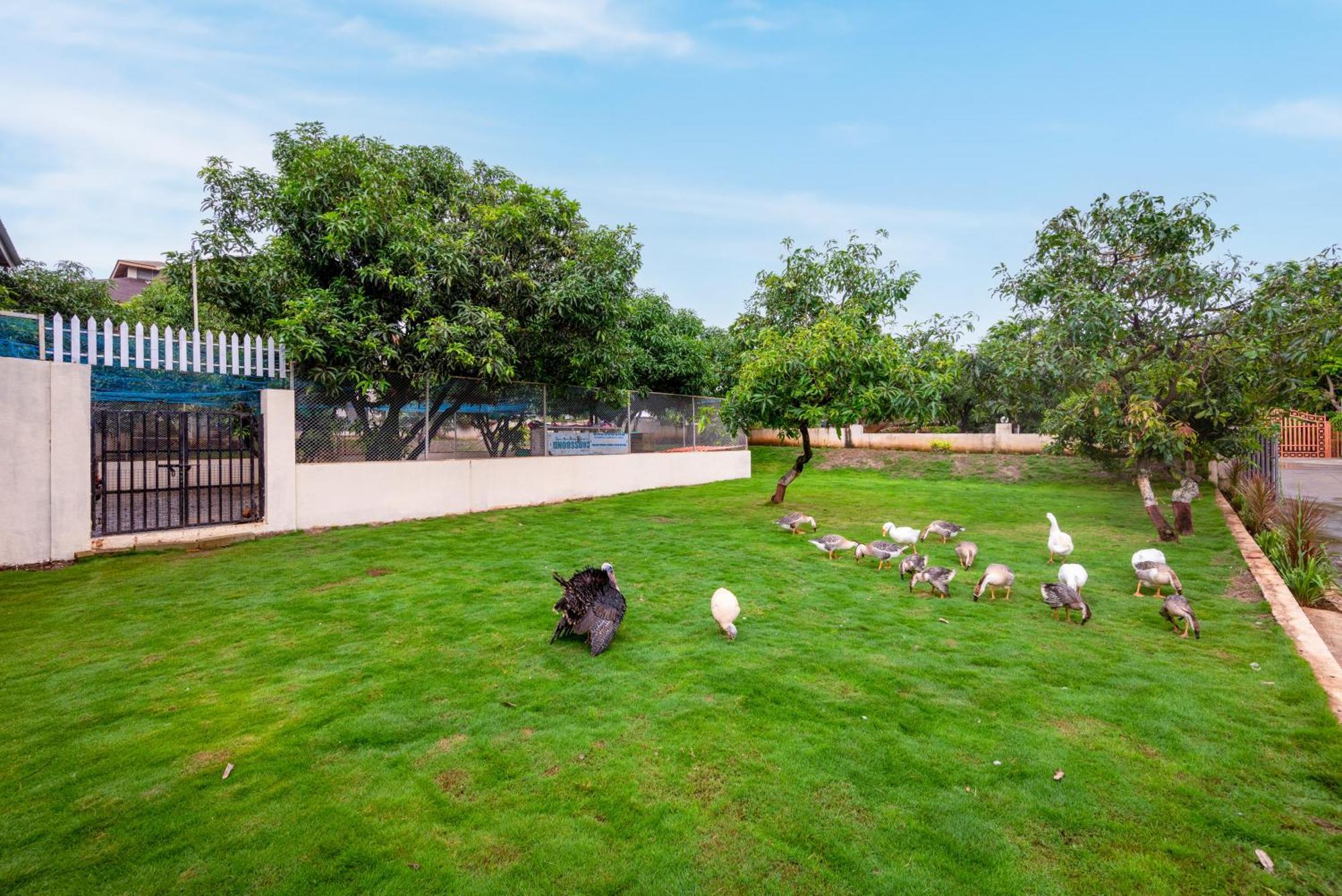 Resort Freesia By Express Nashik