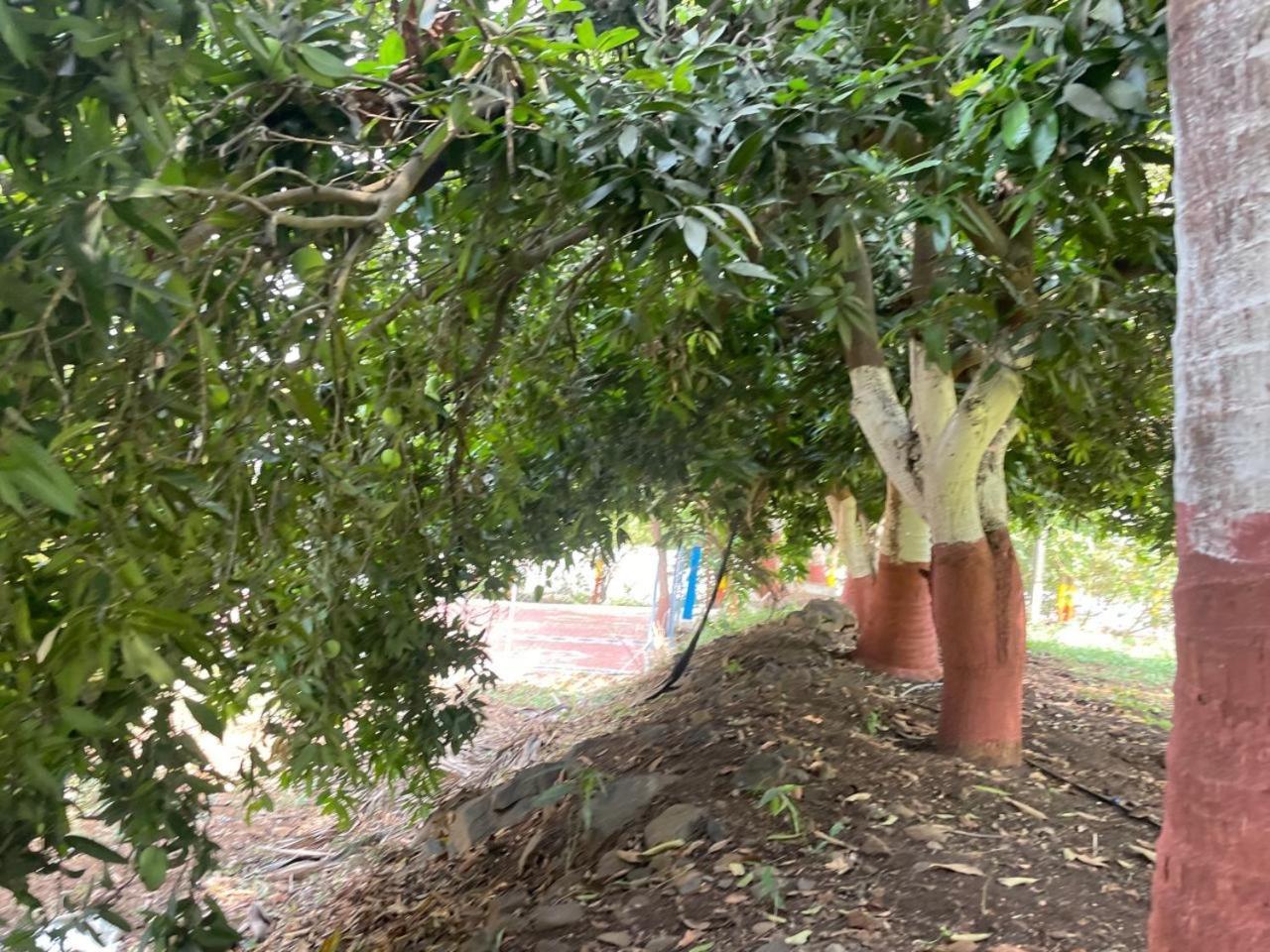 Landmark Lodge Nashik