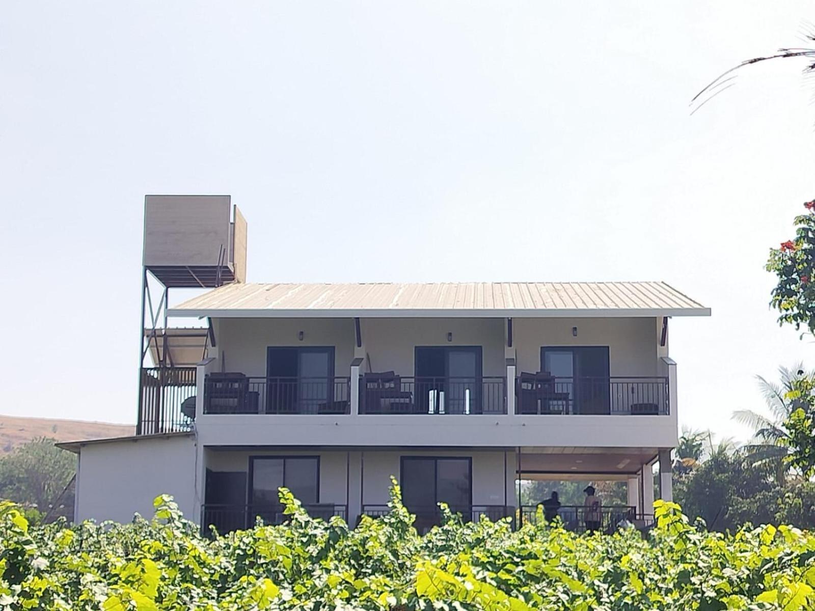 Soma Vineyard -nashik Nashik