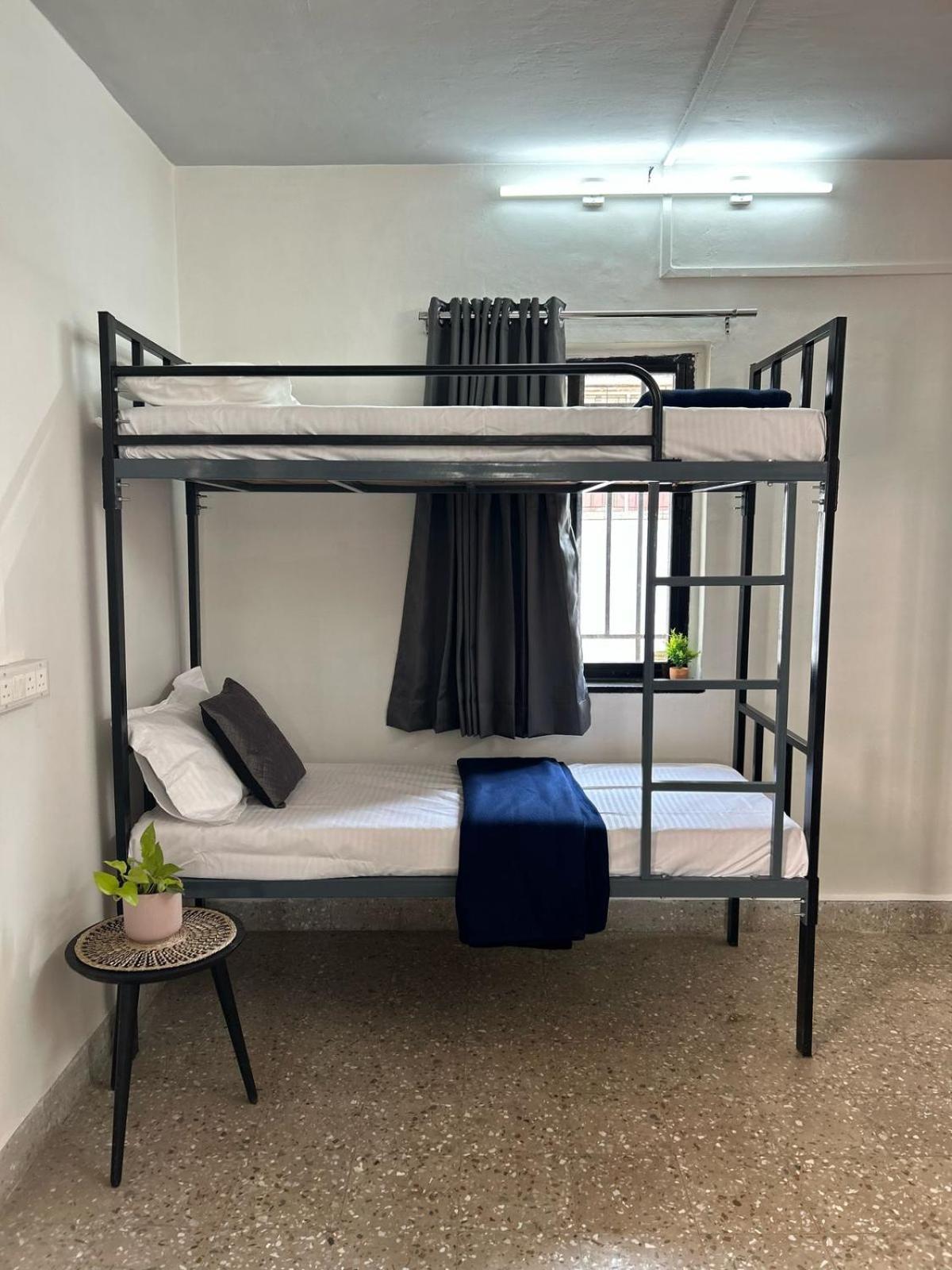 Hostel Tripvana Backpacker *
