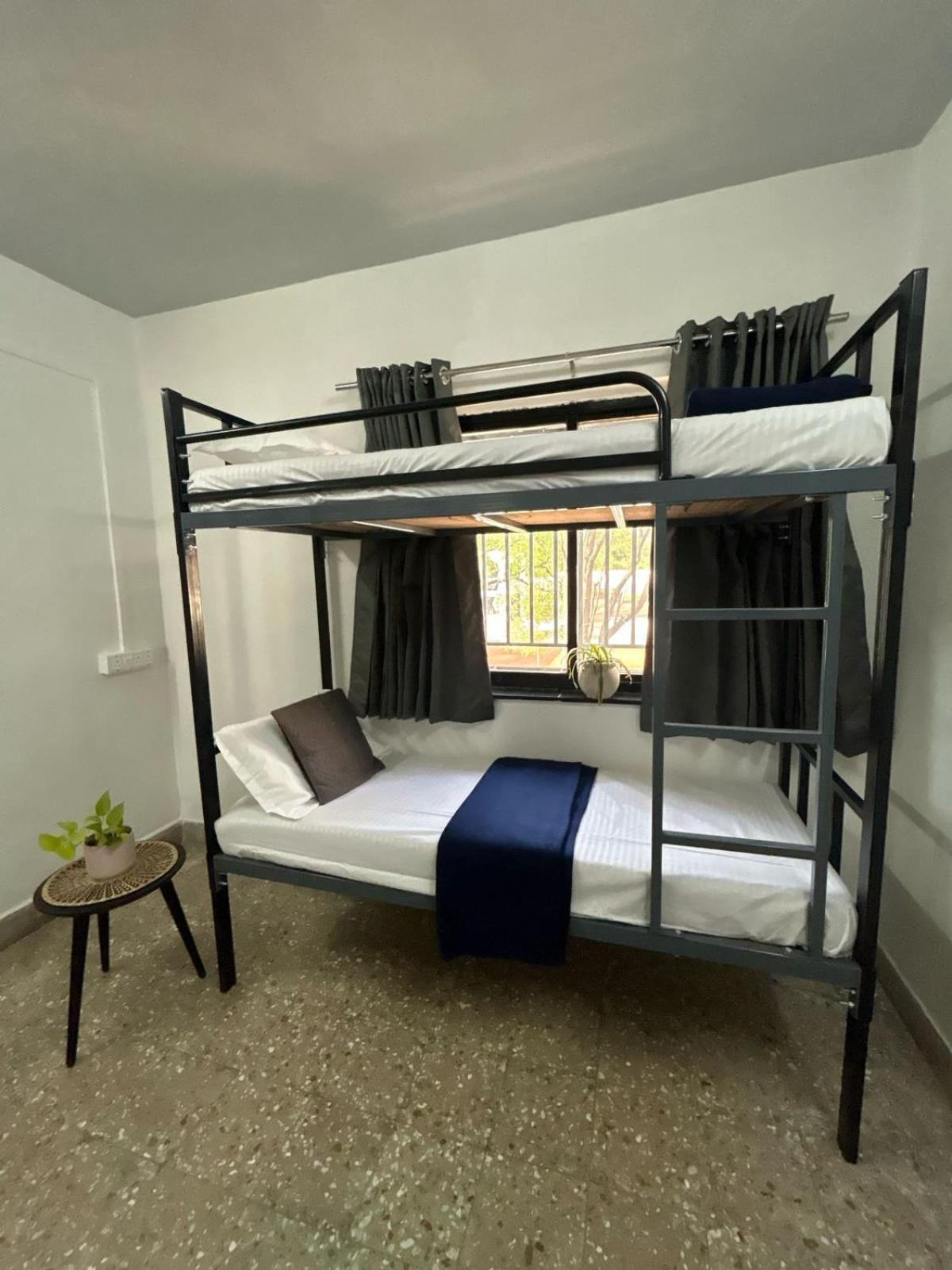 Hostel Tripvana Backpacker