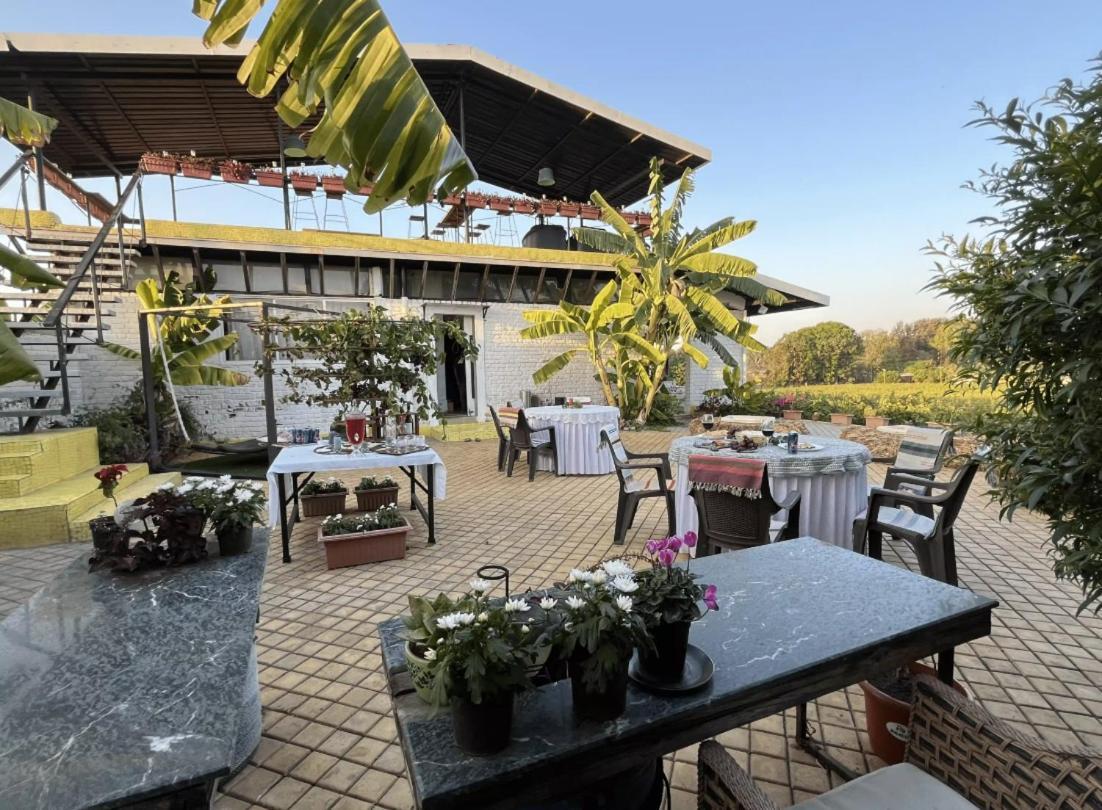 Saffronstays Onellaa, - Infinity Pool Surrounded By A Vineyard Nashik