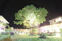 Hotel Club Mahindra Hatgad Nashik