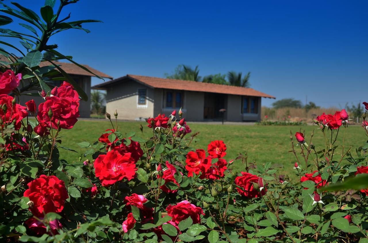 Farm stay Utopia *