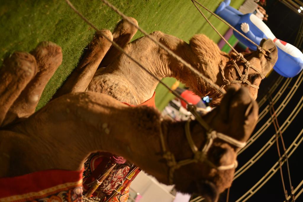 Meuse Jupiter Business And Luxury Hotel Nashik