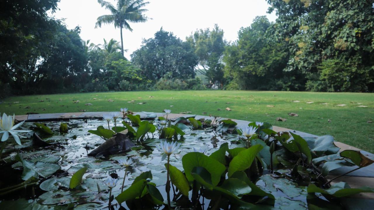 Jungle Safari & Holiday Villa
