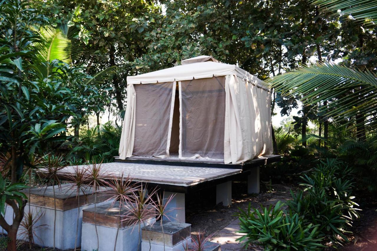 Farm stay Cocoon
